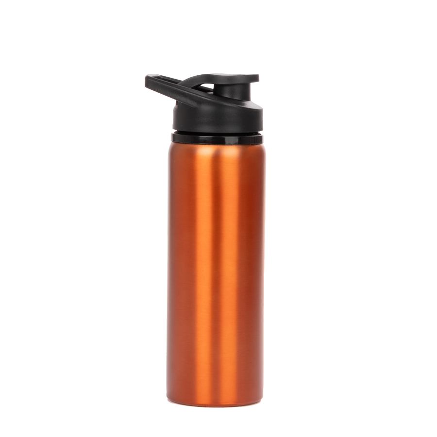 Botella de Acero Inoxidable «APIA» 750cc (copia)